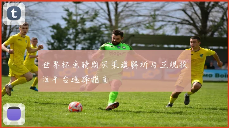 世界杯竞猜购买渠道解析与正规投注平台选择指南