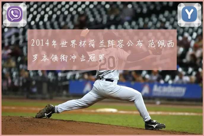 2014年世界杯荷兰阵容公布 范佩西罗本领衔冲击冠军